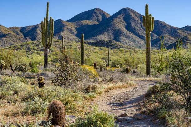 istock A trail to the mountains 1437669584