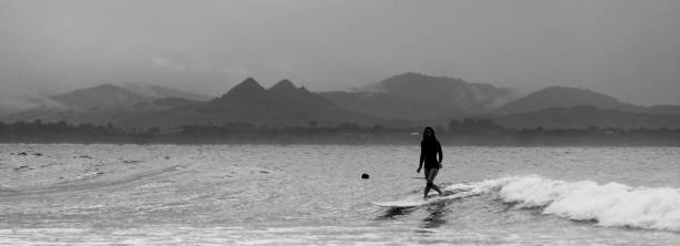 Free Stock Photo of Surfer riding a wave in black and white | Download ...
