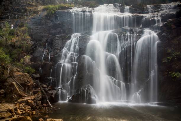 istock Raging waterfalls surrounded by trees on a sunny day 1437671243
