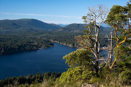 A panoramic view looking across a small lake to forested mountains. This is located in the Maine North Woods Highlands Region, Maine, USA. Multiple images used to create a panoramic.