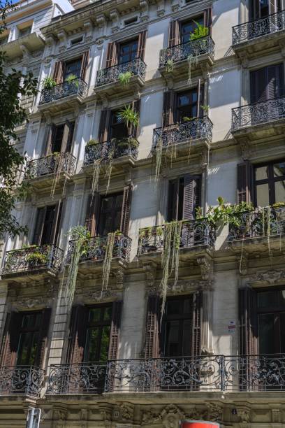 istock Typical facade in Barcelona, Spain, with greens took from the side 1437672127