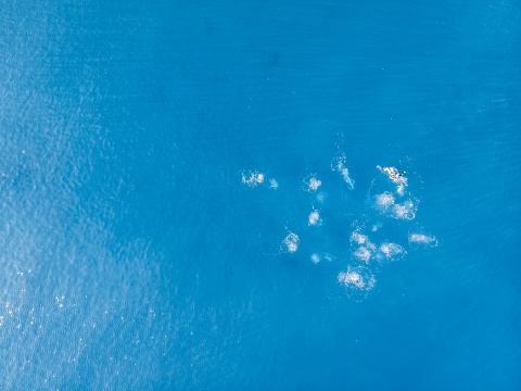 An aerial view of the scuba drivers in the sea