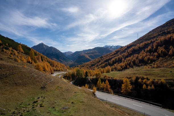 istock Road surrounded by hills covered in trees under a blue cloudy sky in autumn 1437672531