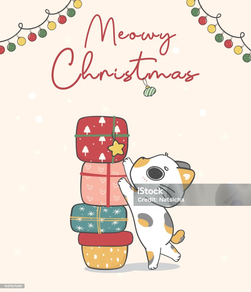Dễ Thương Nghịch Ngợm Mèo Con Mèo Con Đạt Hộp Quà Tặng Meowy Giáng ...