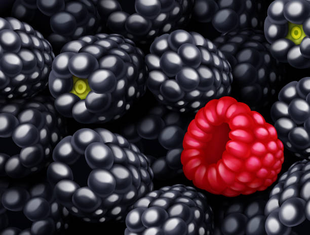 Black Raspberry Desktop Background 20+ Black Raspberry Background Stock Illustrations, Royalty-Free Vector ...