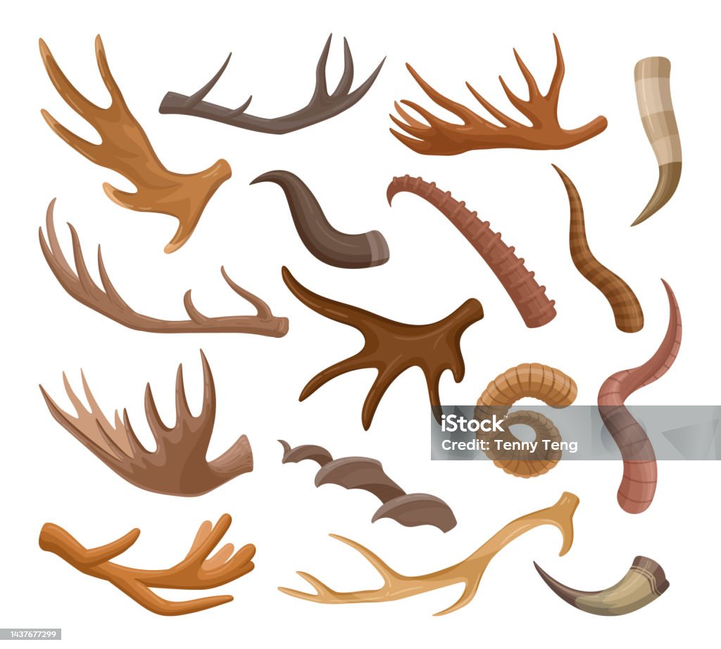 동물 뿔 무스 황소 염소 순록 및 영양 뿔 Artoon Artiodactyls 포유류 뿔 야생 동물 뿔 평면 벡터 기호 세트 ...