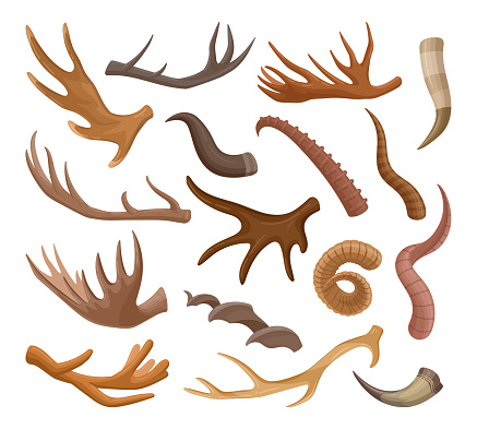 Animal horns, moose, bull, goat, reindeer and antelope horn. artoon artiodactyls mammals antlers, wild animal horns flat vector symbols set. Hunting trophy collection