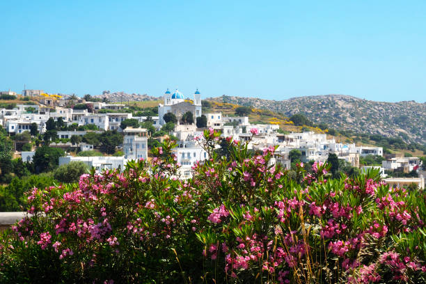 Falatados, dominated by its Cathedral Saint John/Holy Trinity, is a traditional mountain village of Tinos, famous island of the Cyclades, in the heart of the Aegean Sea.