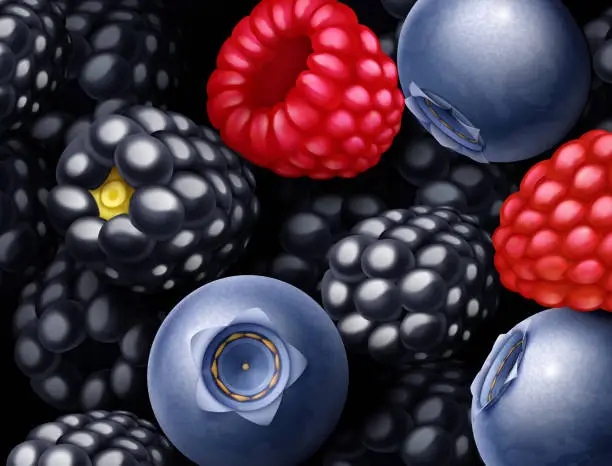Vector illustration of Raspberry, Blackberry, Blueberry Sweet Berries Mix