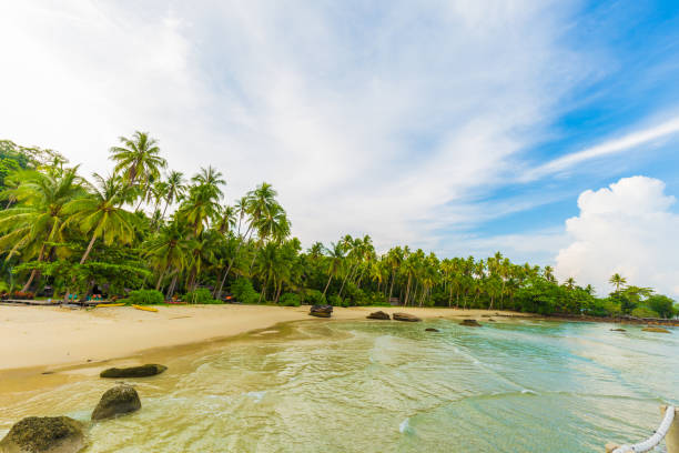 istock Bue sky and white clouds with coconut trees on the beach.sand and sea 1437679902