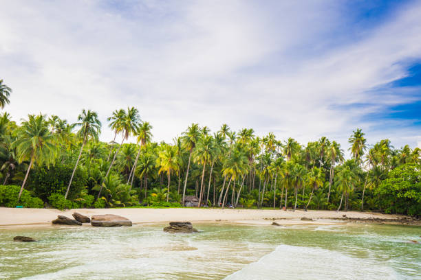 istock Bue sky and white clouds with coconut trees on the beach.sand and sea 1437680029
