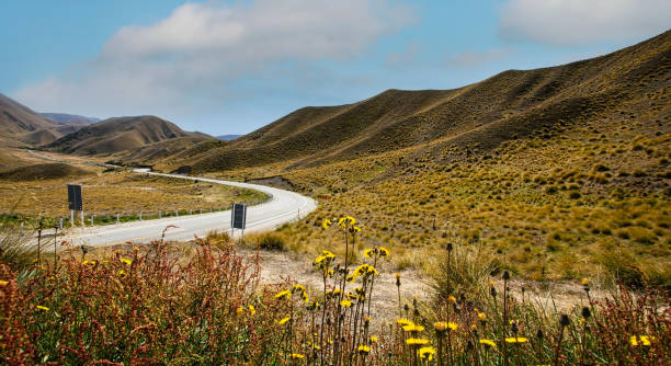 vista del viaje por carretera con pradera de flores de viaje en el paso de lindis con fondo de cielo azul - new zealand fotos fotografías e imágenes de stock