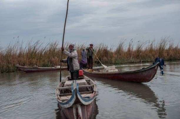 Basra, Iraq – October 31, 2018: Al-Chibayish, Iraq. October 31st 2018 Just after dawn Marsh Arab fishermen return with their catch, the southern marshes of Iraq