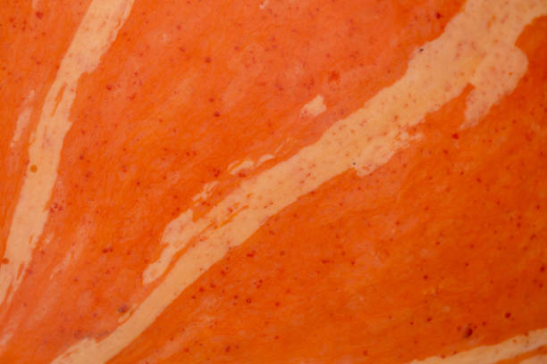 istock Pumpkin skin texture macro photography on a summer sunny day. 1437687106
