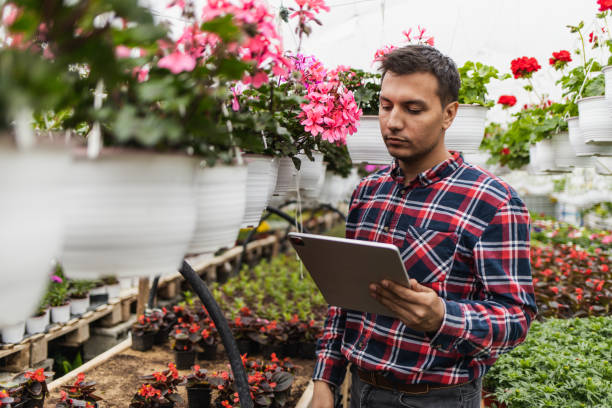 istock Young florist using modern technology in his greenhouse 1437689179