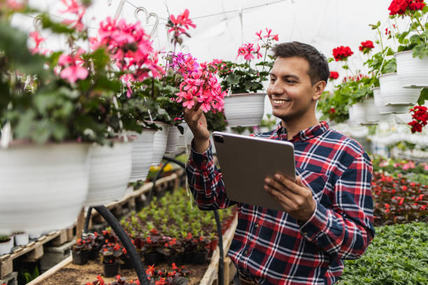 istock Young modern florist happy with his flower growing process 1437689232