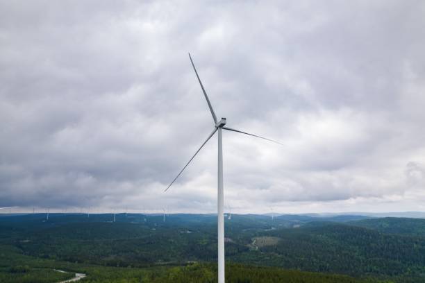 istock Wind turbines surrounded by dense green trees against a cloudy sky 1437693542