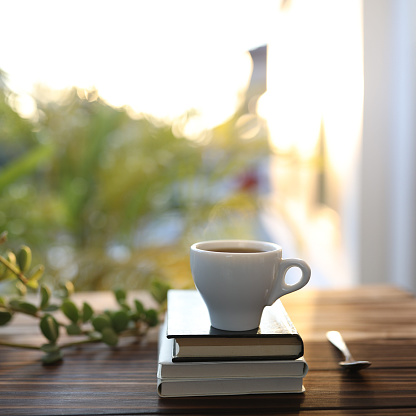 Small cup of coffee and notebooks and plant on wooden table