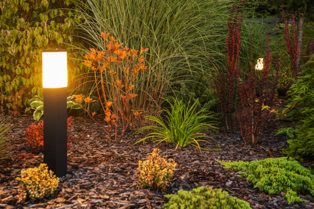 istock Garden Light in the Evening 1437694654