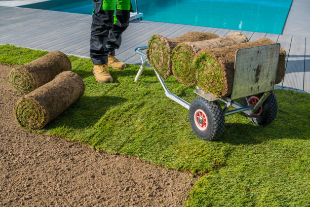 istock Tuft Grass Rolls Loaded on Hand Truck 1437696024