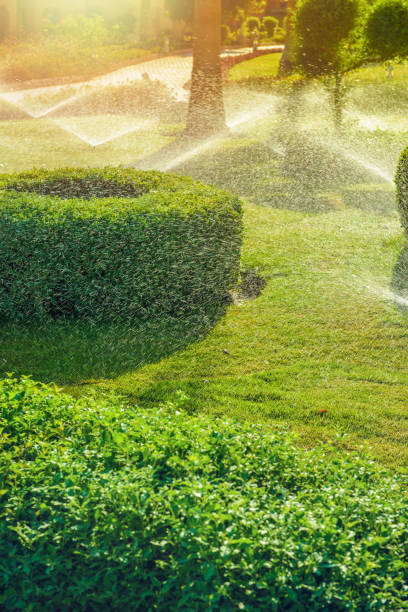 automatyczny system nawadniania ogrodu podlewający zielony ogród. - sprinkler park summer spray zdjęcia i obrazy z banku zdjęć