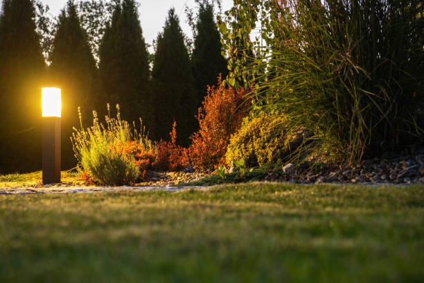 istock Bollard Outdoor Garden Light 1437696113