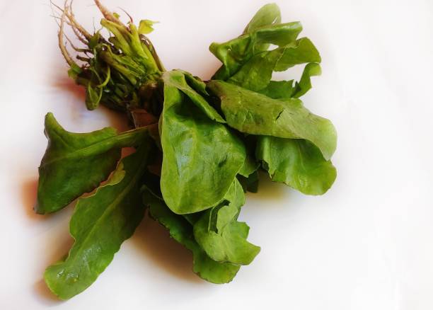 Spinach Spinach in isolated white background. spinazie stock pictures, royalty-free photos & images