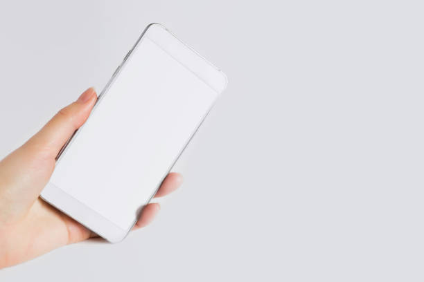 istock Female hand holds a white mobile phone isolated on gray background, mockup, copy space 1437699870
