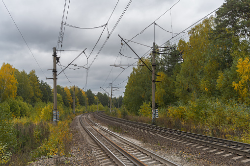 Picturesque section of the railway among yellow birches in autumn. Railway supports of the contact network of the Russian railway. Wires for trains.