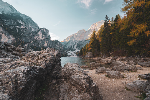 Lake in the mountains in the dolomites at sunrise with rocks on the beach and larch trees on one side on sunny day in autumn