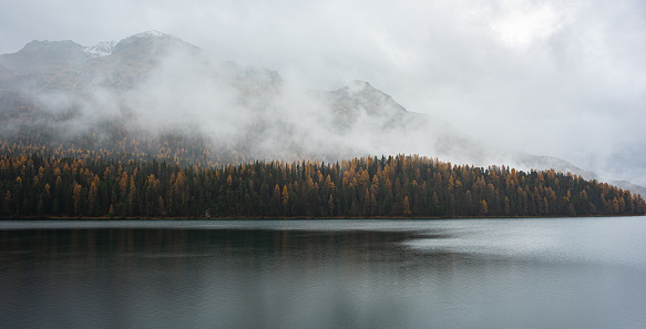 Panoramic view of mist over Lake St Moritz, Switzerland with larch trees in autumn colours.