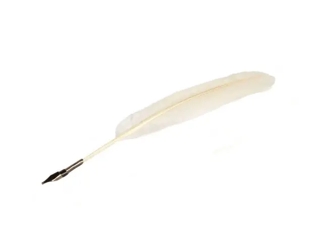 A feather-pen on a white background