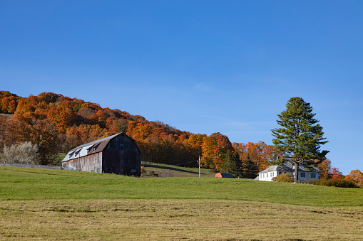 Barn and house seen from the road, Chelsea, Vermont, USA