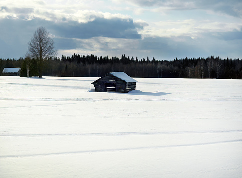 A wooden hut standing in the middle of white snowy field with pine trees in the background, hiding from snow, shelter, copy space, winter wallpaper