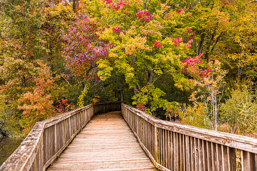 Wooden bridge into the fall colors of Virginia.