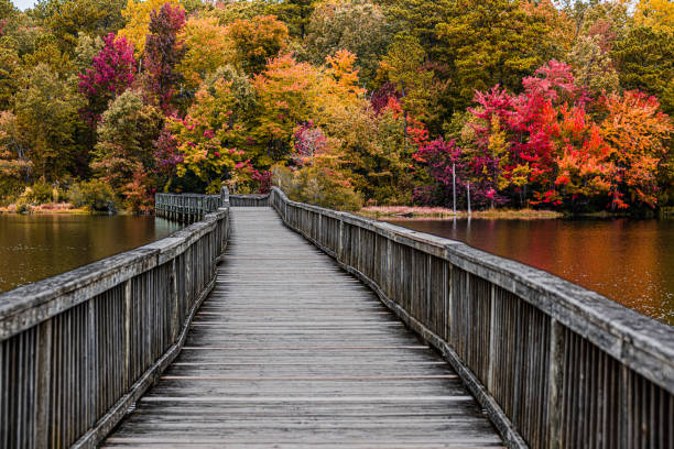 istock Wooden Bridge into the Fall Colors 1437714855