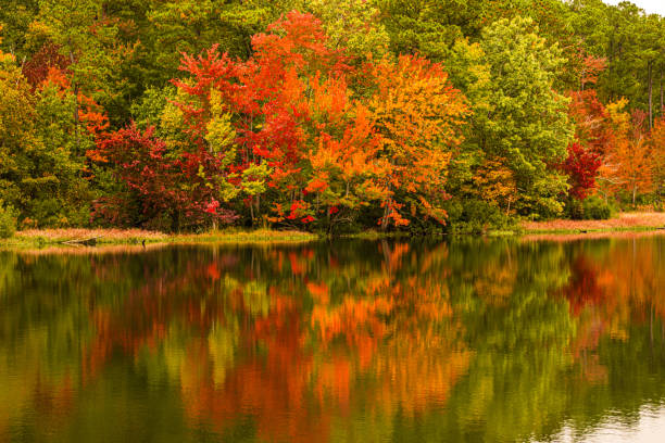 Fall Colors in Virginia stock photo