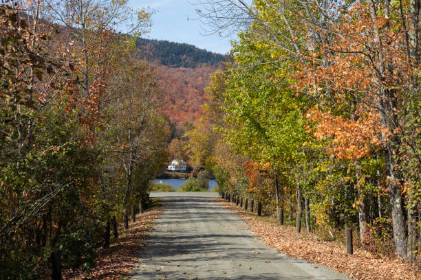 istock Lake Elmore in the fall 1437715197