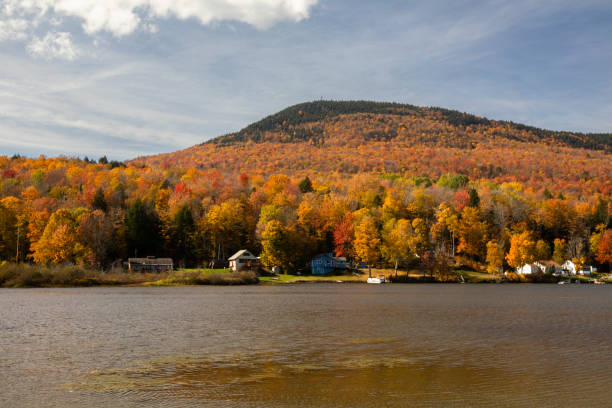 istock Lake Elmore in the fall 1437715205