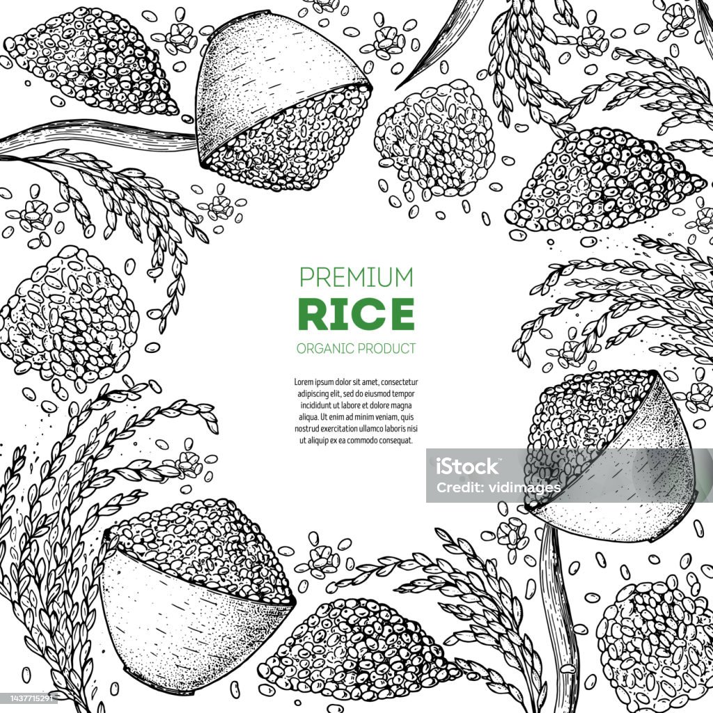 Selling Rice Drawing Rice Hand Drawn Vector Illustration Bag Of Rice Sketch Packaging Design ...