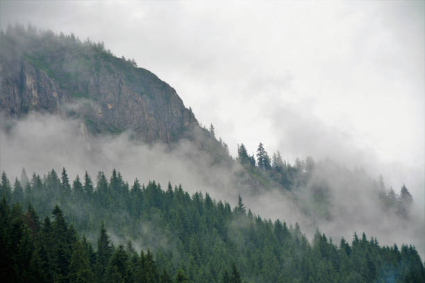 istock Majestic view of a dense tree-covered mountain slope surrounded by low flying clouds 1437716420