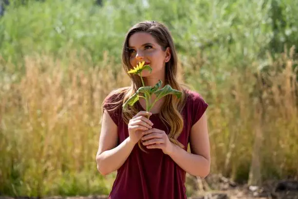 Photo of Casually dressed young woman smelling a sunflower in front of the field