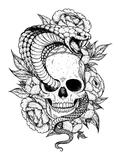 Ilustración de Calavera Serpiente Cobra Y Flores Dibujadas A Mano Tatuaje  Estampado Vintage Estampado Floral Dibujado A Mano Diseño De Tatuajes  Ilustración De Boceto y más Vectores Libres de Derechos de Grabado