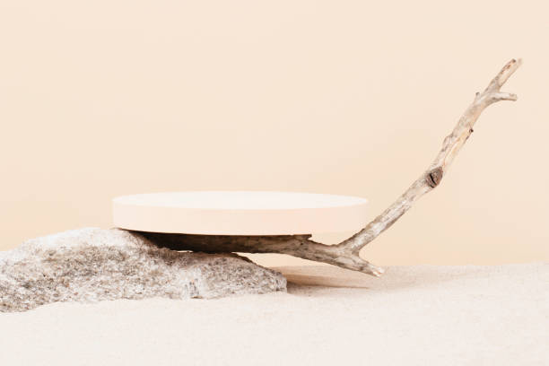 istock Empty round beige platform podium, stone and dry tree twigs on white beach sand background. Minimal creative composition background for cosmetics or products presentation. Front view 1437717490