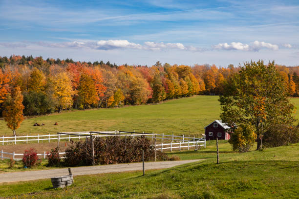 A photograph of a red barn in Stowe, Vermont