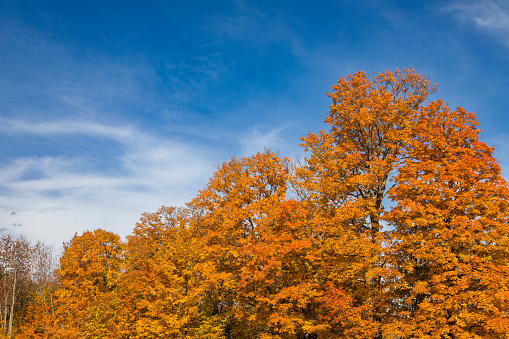 Autumn at Morristown, Lemoille, Washington District, Vermont, USA