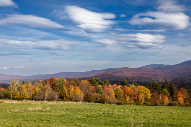 istock Colorful autumn trees with mountain in the background 1437718619