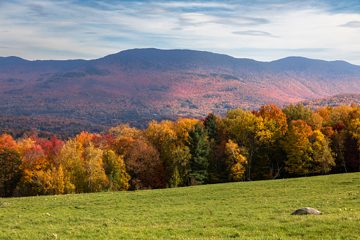 Colorful autumn trees with mountain in the background, Stowe, Vermont, USA