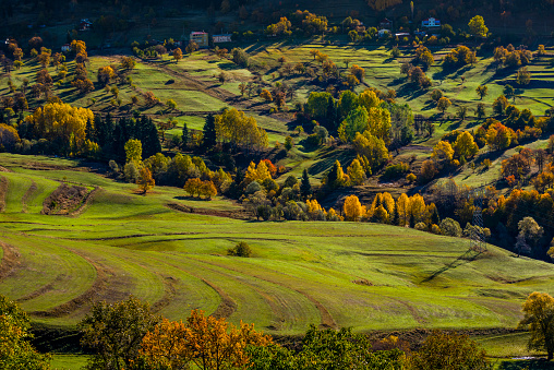 Autumn season in the Savsat District. Artvin, Turkey. Beautiful autumn landscape from Savsat Observation Terrace. Colorful nature view.