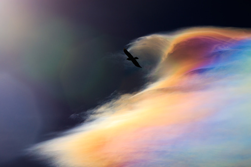 Great Raven in iridescent cloud, Vercors, France.\n\nAn iridescent cloud is a thin cloud in which the spreading of drops or ice crystals causes, by diffraction, an iridescence of the light, giving a coloured aspect to the cloud.